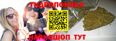 ПСИЛОЦИБИНОВЫЕ ГРИБЫ Можайск