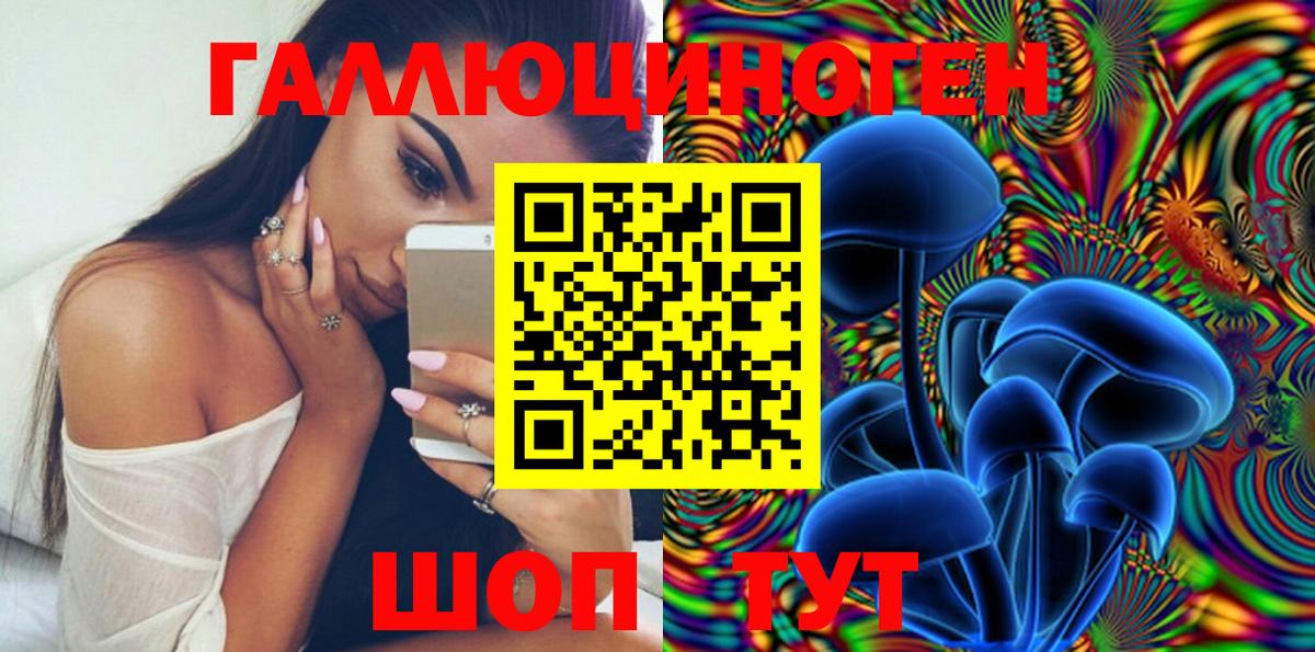 Псилоцибиновые грибы Psilocybe  Псилоцибиновые грибы Cubensis  Вход с VPN  Реж 
